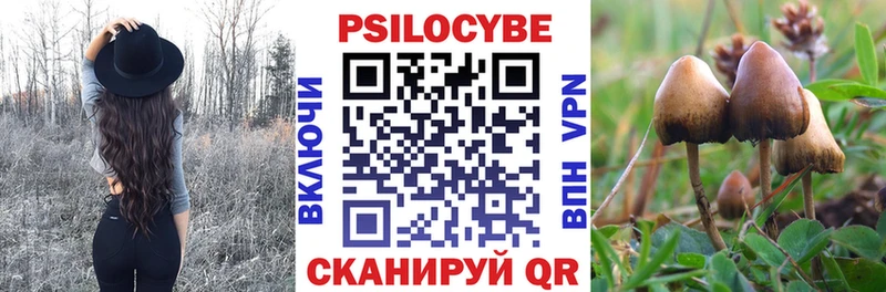 blacksprut ссылки  Спасск-Дальний  Псилоцибиновые грибы Psilocybine cubensis  закладки 